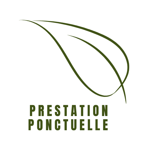 prestation ponctuelle