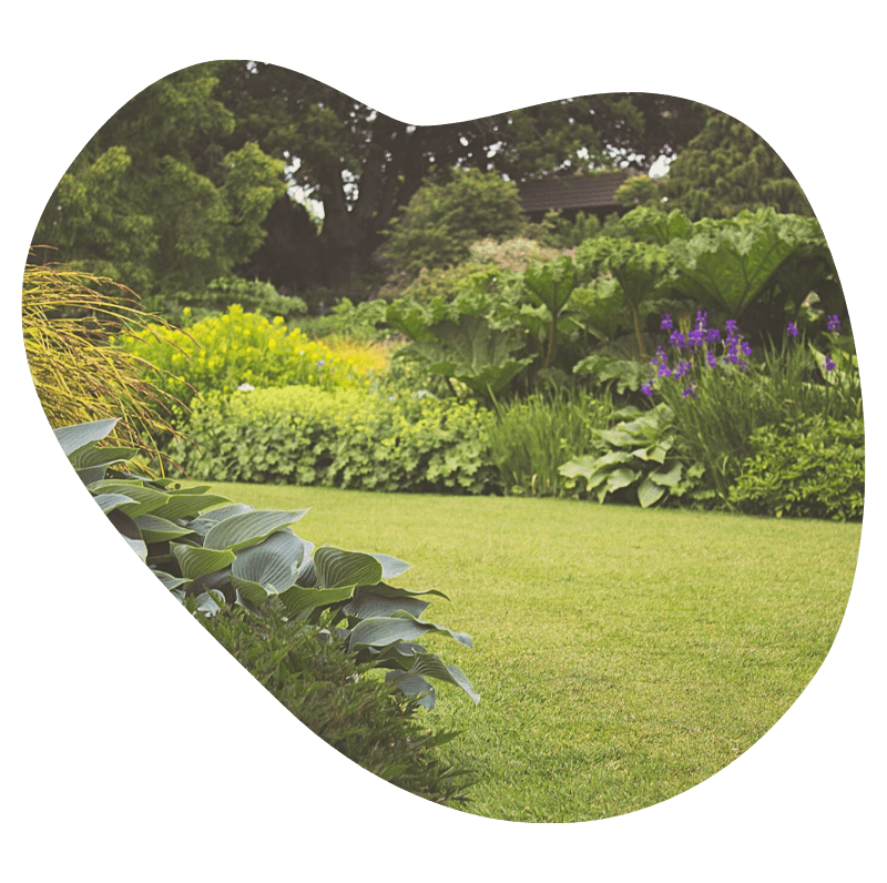 entretien ponctuel jardin Nettoyage jardin Mesquer Guérande