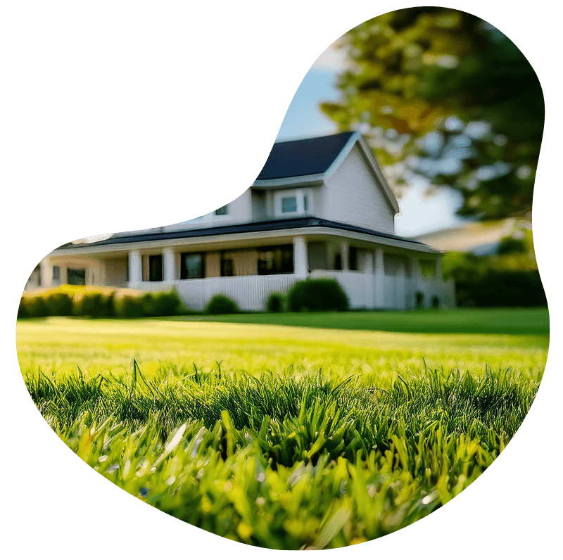nettoyage jardin Nettoyage jardin Mesquer Guérande